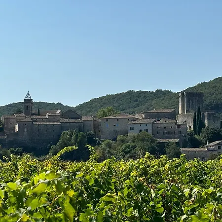 Fabulous Large In With Terraces Overlooking The River Ceze With Private Pool Montclus (Gard)