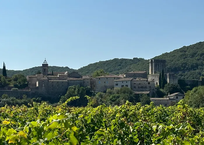 Fabulous Large In With Terraces Overlooking The River Ceze With Private Pool Montclus (Gard)